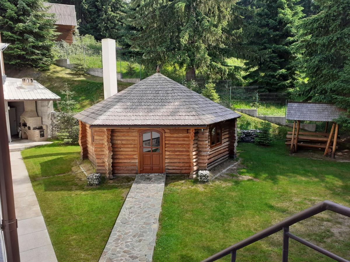 Pensiunea Constantin Ranca Exterior foto